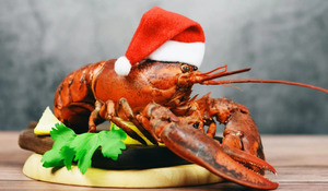 Seafood Seafood