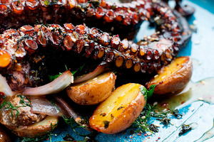 Octopus Octopus